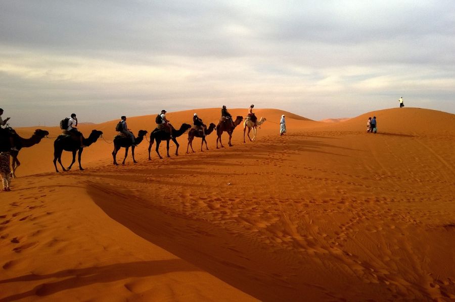 Sahara Desert